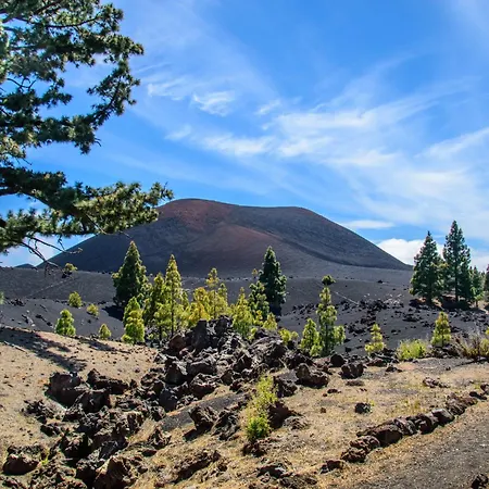 Апартаменты Sun Arena Пуэрто-де-Сантьяго