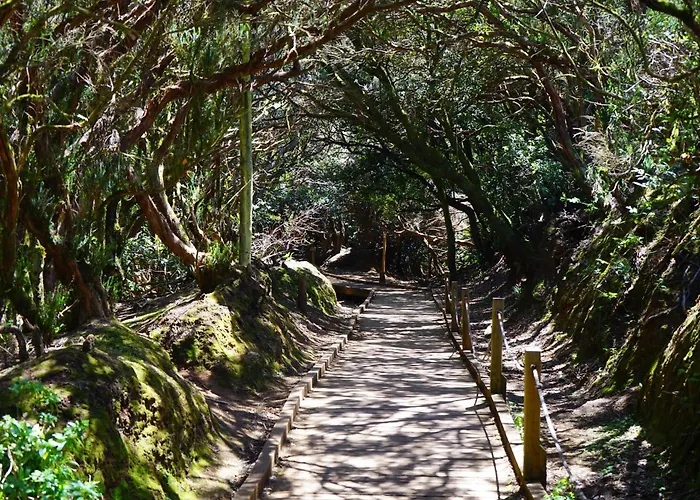 Sun Arena Apartament